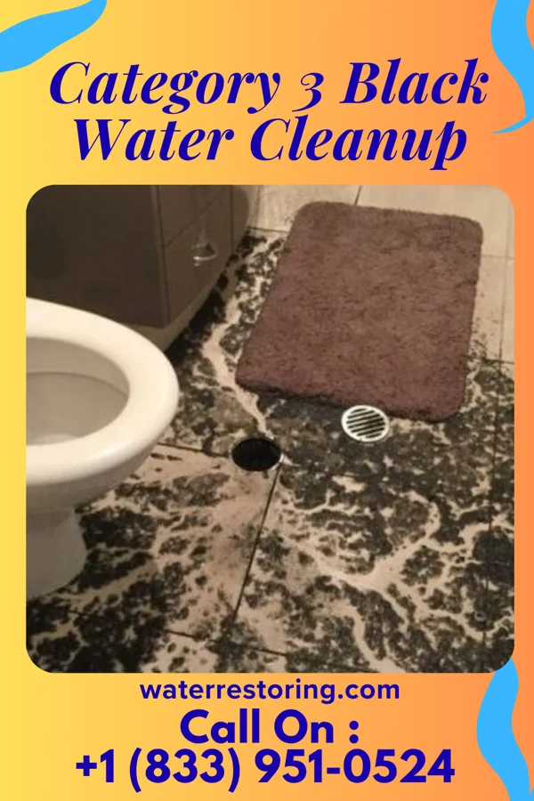 Category 3 Black Water Cleanup in Ellaville, GA