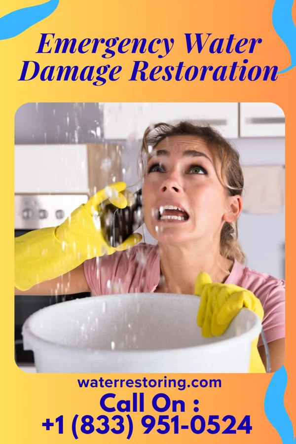 Emergency Water Damage Restoration in Ellaville, GA
