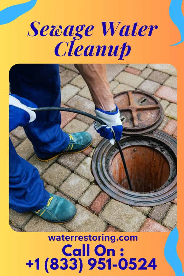 Sewage Water Cleanup in Ellaville, GA